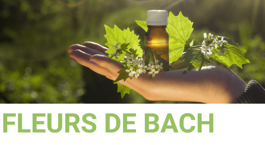 Formation en ligne fleurs de Bach