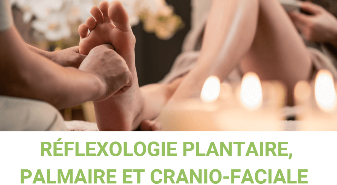 Formation en ligne Réflexologie plantaire, palmaire et crânio-faciale