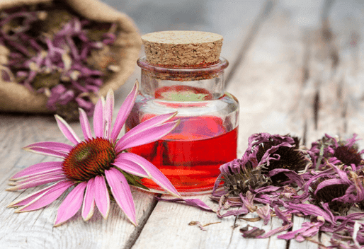 Formation en ligne naturopathe